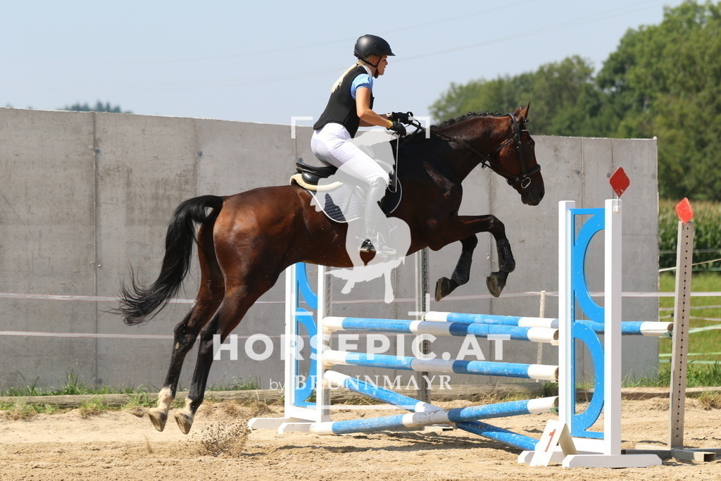 7V2A4622 | Willkommen bei Brunnmayr - Design & Fotografie – Ihrem Spezialisten für Reitturniere und Pferdeveranstaltungen in Oberösterreich, Salzburg und Bayern! Seit über 17 Jahren sind wir leidenschaftlich dabei.