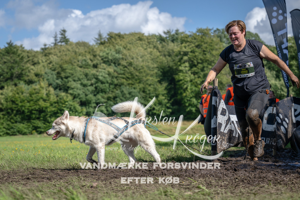 1517_ZZ91312 | kk-dogfotos