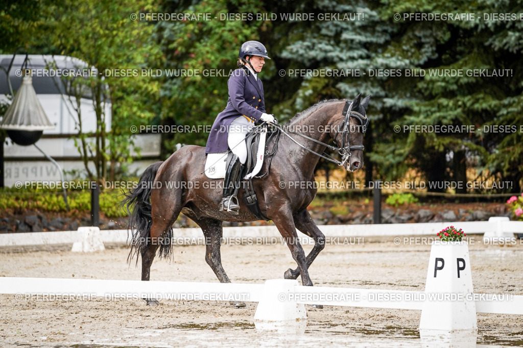 DSC09809 | Pferdegrafie