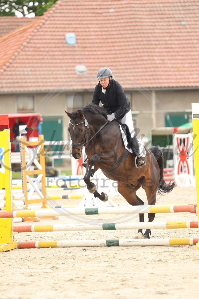 994A8651 | sabrinanicolaifotografie - Realisiert mit Pictrs.com