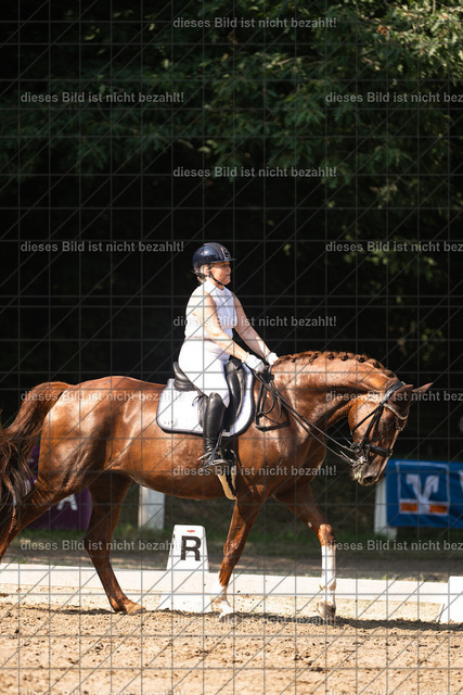DSC_3190 | Elisabeth Schleppi - Realisiert mit Pictrs.com