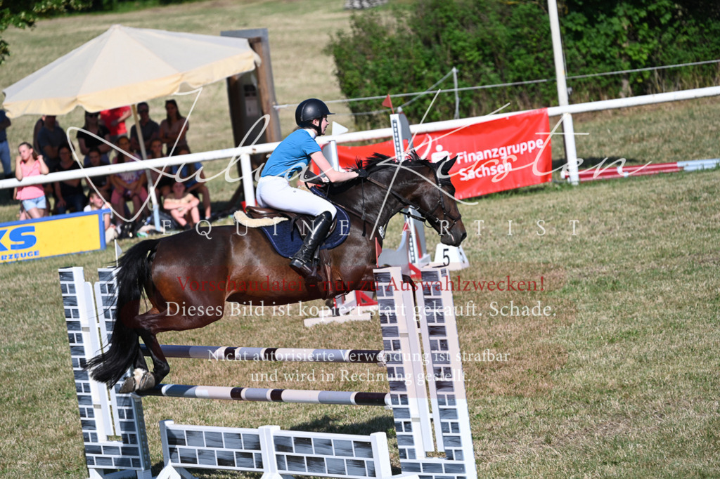DSC_2373 | Pferde- und Turnierfotografie in Westsachsen. Pferdeportraits, Auftragszeichnungen und intuitive Kunst.