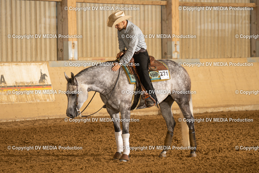 LAU00221 | dv-media-shop - Realisiert mit Pictrs.com