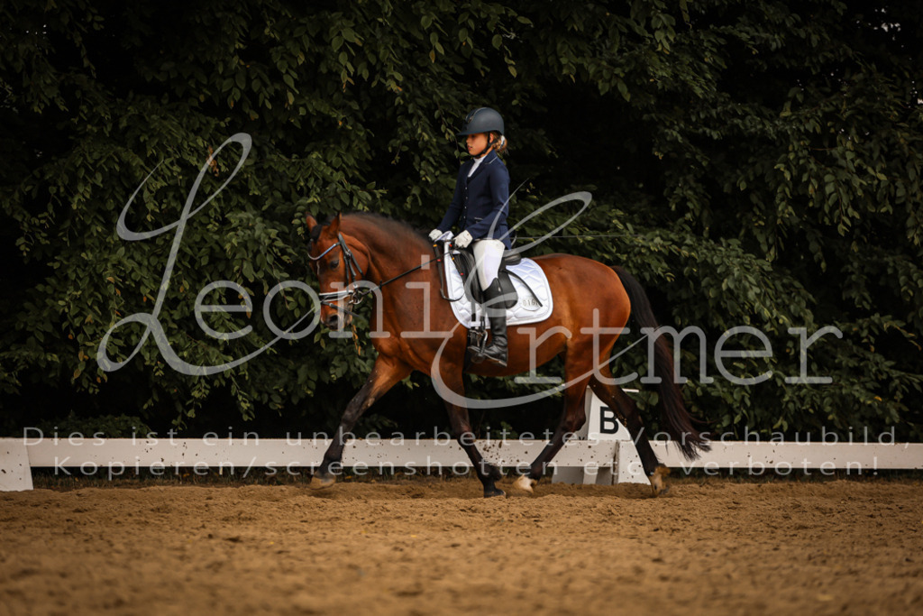 DoDrWB00202 | Leoni Ertmer Photography - Realisiert mit Pictrs.com