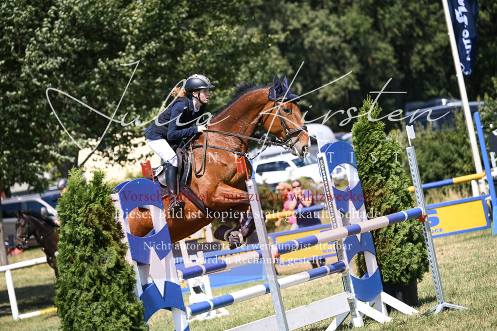 DSC_0143 | Pferde- und Turnierfotografie in Westsachsen. Pferdeportraits, Auftragszeichnungen und intuitive Kunst.