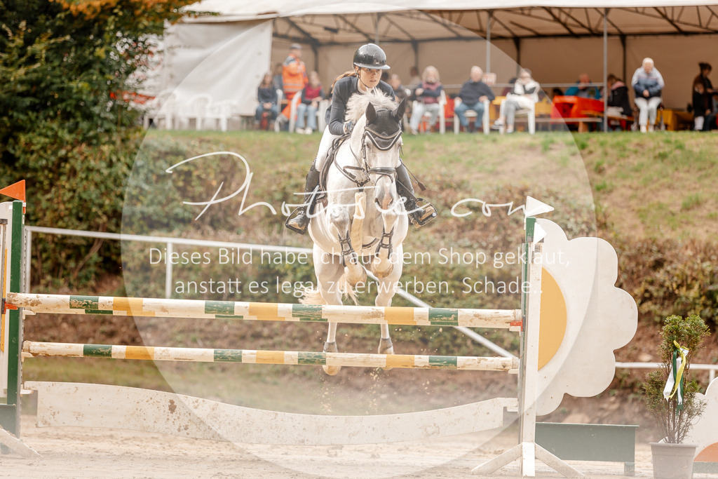 3I6A8127 | Stimmungsvolle Portraits und Reitsportfotografie im Ruhrgebiet und im Münsterland.

Pferdefotografie, Hundefotografie, Tierfotografie, Reportagen, Portraits von Tier und Mensch, Turnierfotografie in Bochum, Recklinghausen, Marl, Haltern am See, Dülmen.. - Realisiert mit Pictrs.com