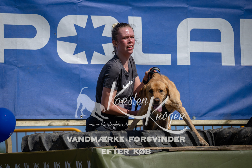 1157_ZZ92939 | kk-dogfotos