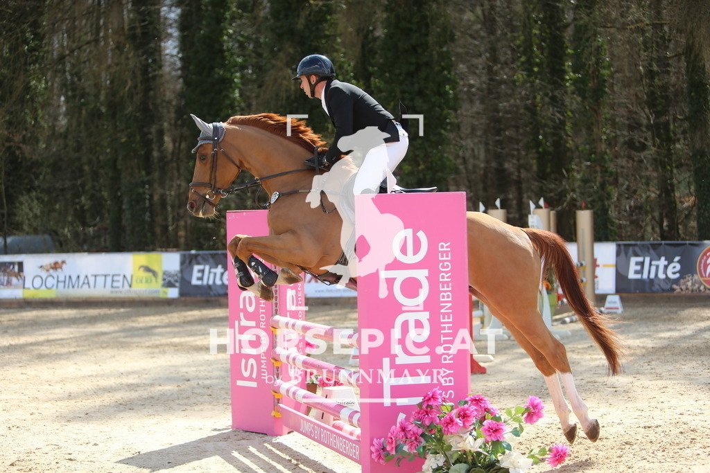 DL2Q9163 | Willkommen bei Brunnmayr - Design & Fotografie – Ihrem Spezialisten für Reitturniere und Pferdeveranstaltungen in Oberösterreich, Salzburg und Bayern! Seit über 17 Jahren sind wir leidenschaftlich dabei.