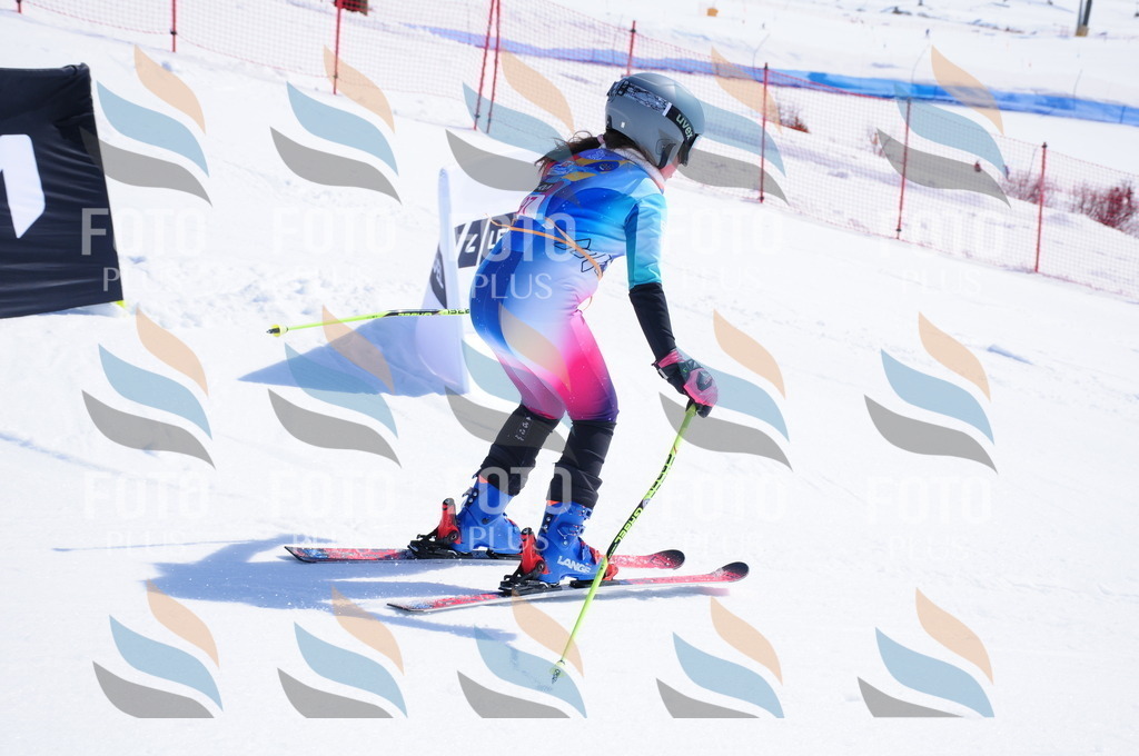 DSC_4719 | holidayphoto