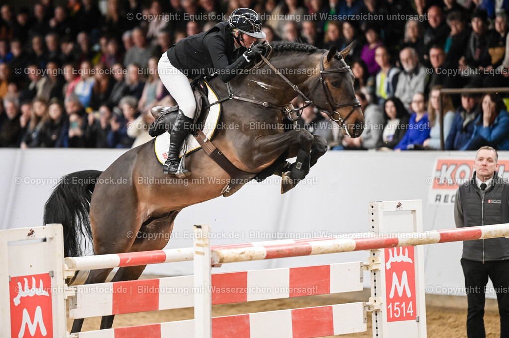 20260307_Hengstvorstellung-Marbach_0138 | equistock