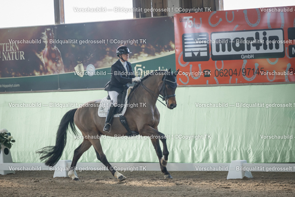 _D5A4400 | Emotionale Pferde- & People-Fotografie rund um Heidelberg, Leimen & Umgebung. Natürliche Fotos von Pferd, Mensch & Familie. Jetzt Termin sichern!