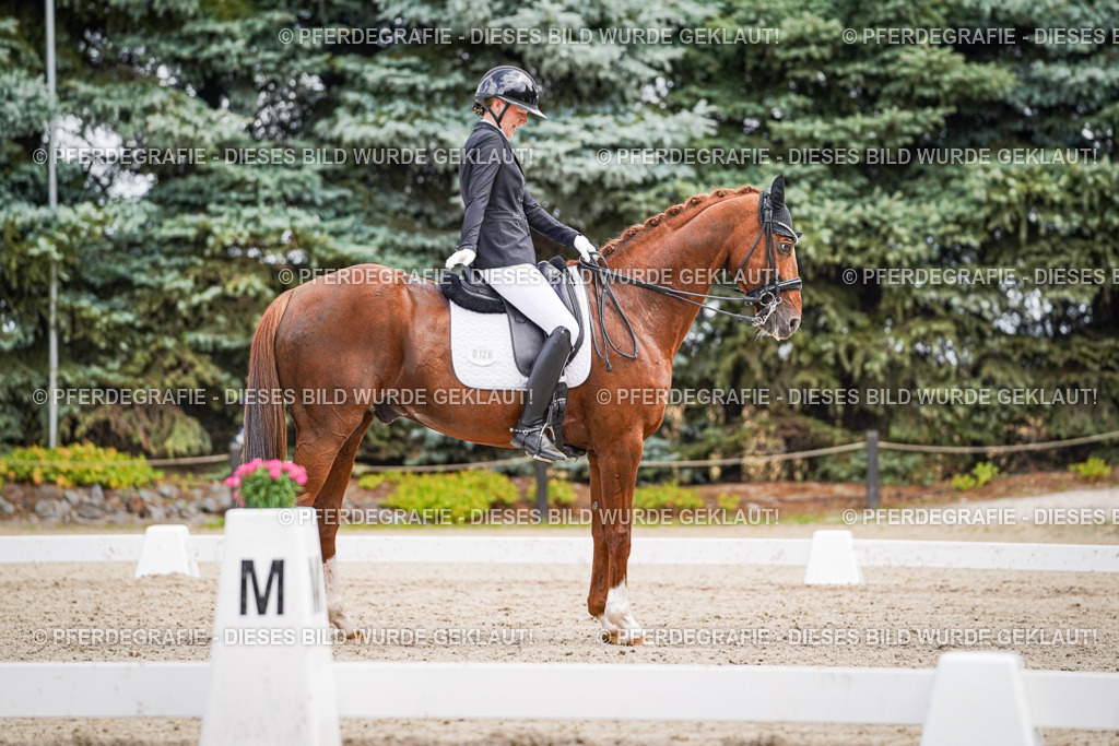 DSC04122 | Pferdegrafie