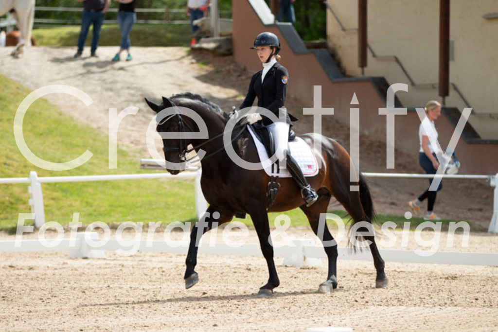 IMG_6500 | Creatify Fotografie