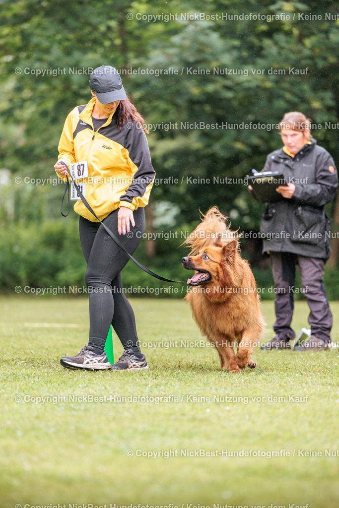 RO-Blumenthal-2026-Nickbest-Hundefotografie-3627 | Dein Hund! Dein Moment! Deine Erinnerungen! Hundefotografie in Bremen Blumenthal. Ich fange die besonderen Momente deines Vierbeiners ein – ob Indoor mit Blitzanlage oder in der freien Natur. Sicher dir dein Moment und dein Termin für eure Erinnerungen.