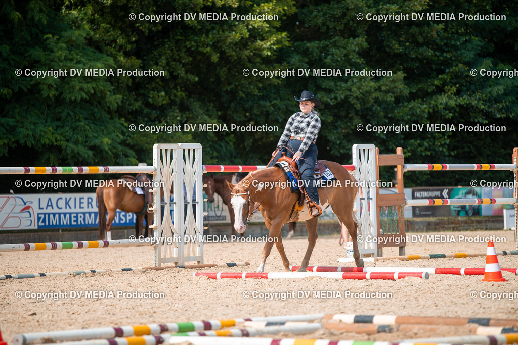 EWP_6911 | dv-media-shop - Realisiert mit Pictrs.com