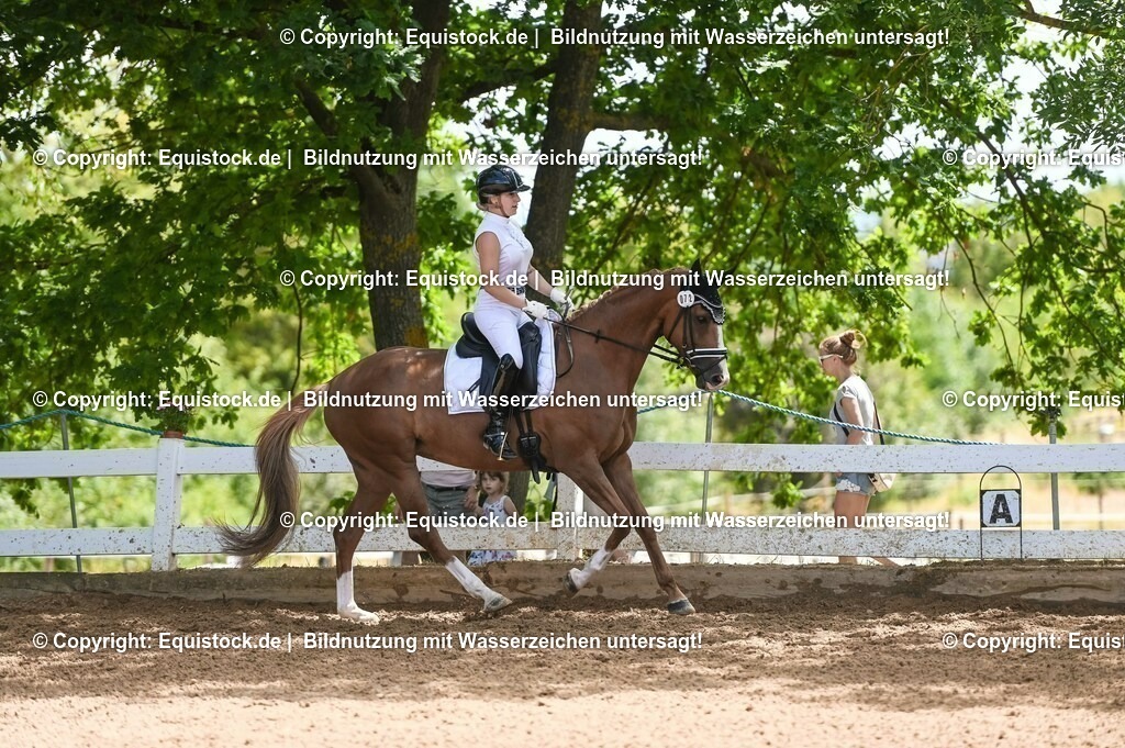 20230716_03_Dressurprfg. Kl.L - Tr._0504 | equistock
