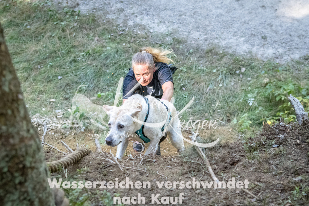 1202_ZZ93086 | kk-dogfotos