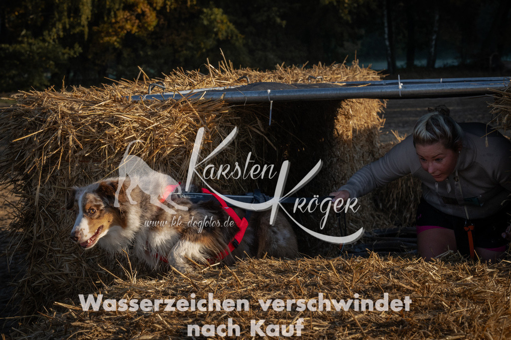 0926_ZZ92994 | kk-dogfotos