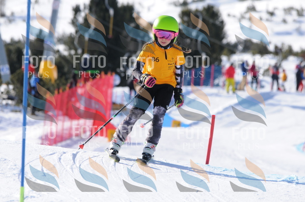 C7018 | holidayphoto