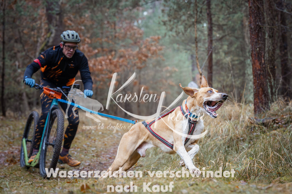 1337_ZZ96050 | kk-dogfotos