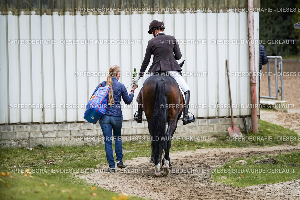 DSC08856 | Pferdegrafie