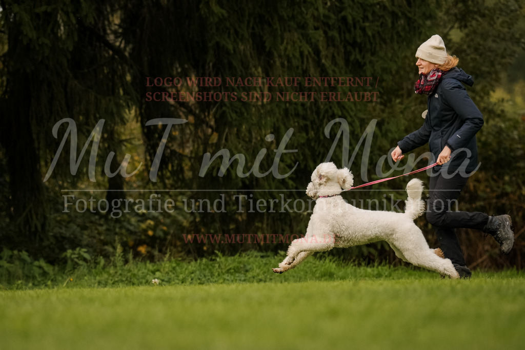 20251005_THS_Turnier-629 | MuT (Mensch und Tier) mit Mona - Fotografie und Tierkommunikation - Realisiert mit Pictrs.com