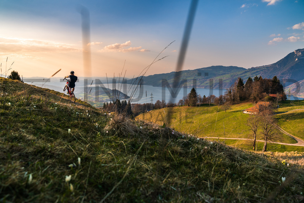 DSC05494 | Tinu Müller Fotografie- Bildershop - Realisiert mit Pictrs.com