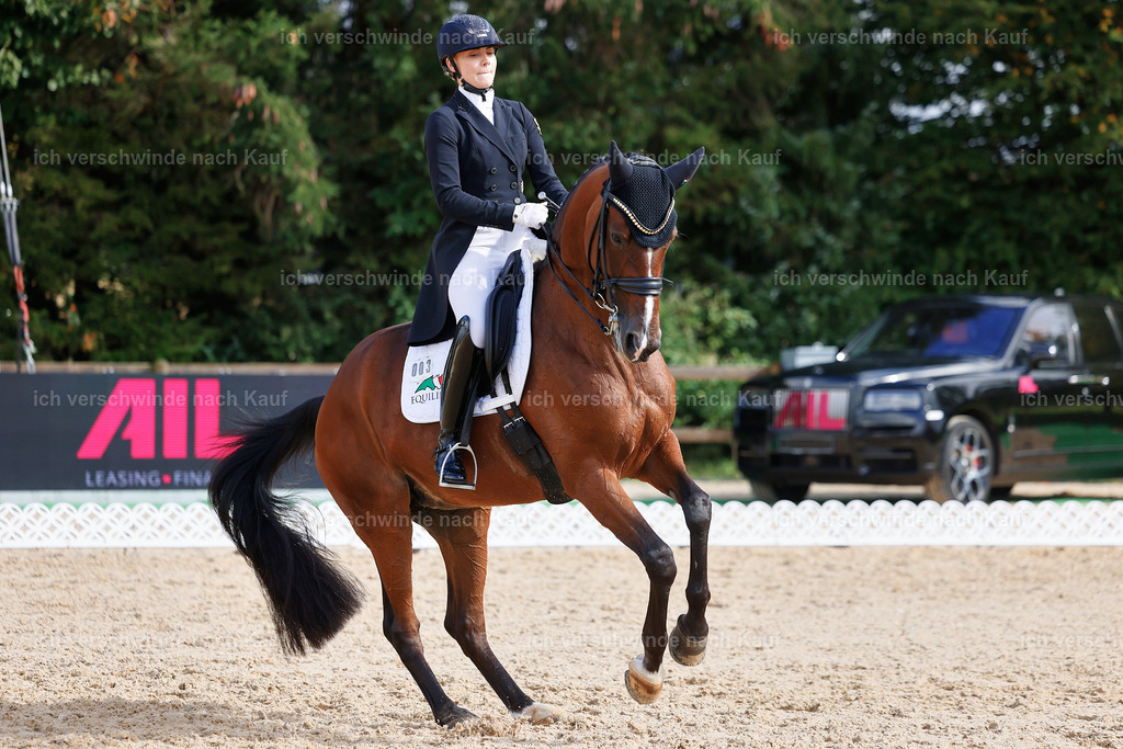 07-003-DRESSUR  S___  -StoibPH-5076 | working equitationturnier fotograf videograf stoibphotography marixx film working equitation deutschland reitsport turnierfotografie eventfotografie equestrian events