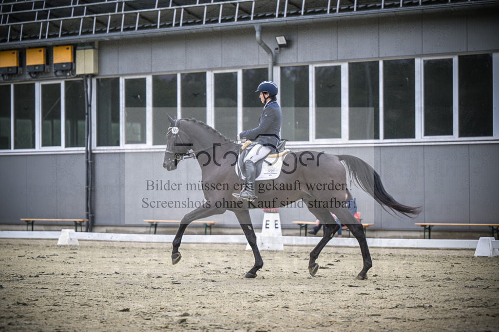DOS_1235 | Entdecke hochwertige Reitturnierfotos von Foto Oger. Professionell, emotional und authentisch – jetzt Lieblingsmomente im Shop bestellen.Deutschlandweite Turnierfotografie. - Realisiert mit Pictrs.com