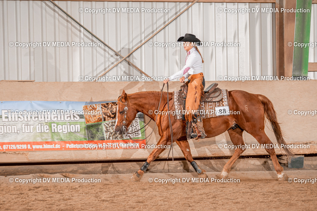 Balingen Tag 3-674 | dv-media-shop - Realisiert mit Pictrs.com