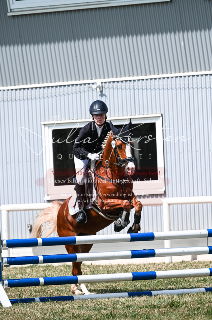 DSC_8720 | Pferde- und Turnierfotografie in Westsachsen. Pferdeportraits, Auftragszeichnungen und intuitive Kunst.