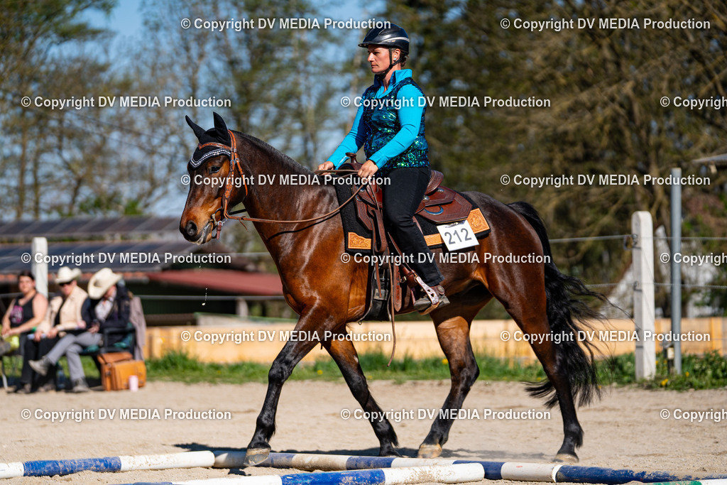 Balingen Tag 1-810 | dv-media-shop - Realisiert mit Pictrs.com