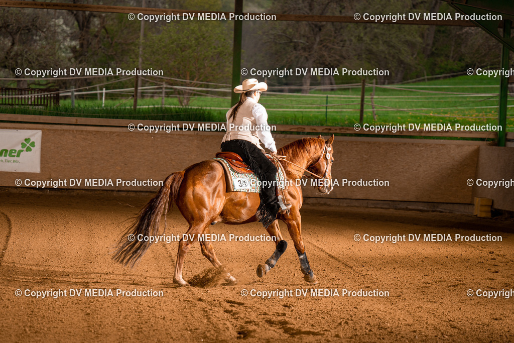 BAL01048 | dv-media-shop - Realisiert mit Pictrs.com