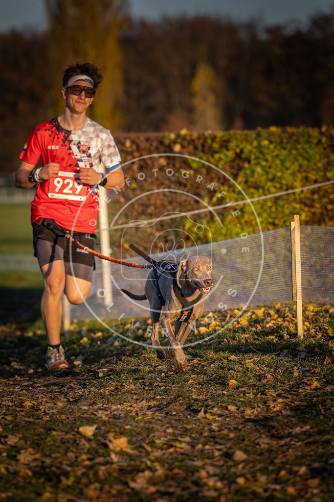 CaniXpix_DV3A5128 | Hundefotografie, Tierfotograf, Pfotenfotografie, Fotoshooting Hund, Hunde Portrait, Hundesport, Hundeportraits, Heideshooting, Hunde, Sportfotograf, Hundefotograf, Turnierhundsport, THS,  - Realisiert mit Pictrs.com
