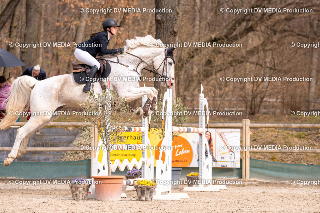 Kranichstein Tag 2-1791 | dv-media-shop - Realisiert mit Pictrs.com