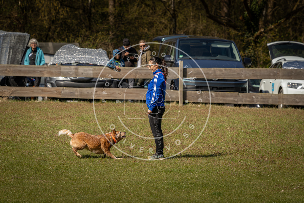 Pfotenfotografie_DV3A0895 | Hundefotografie, Tierfotograf, Pfotenfotografie, Fotoshooting Hund, Hunde Portrait, Hundesport, Hundeportraits, Heideshooting, Hunde, Sportfotograf, Hundefotograf, Turnierhundsport, THS,  - Realisiert mit Pictrs.com