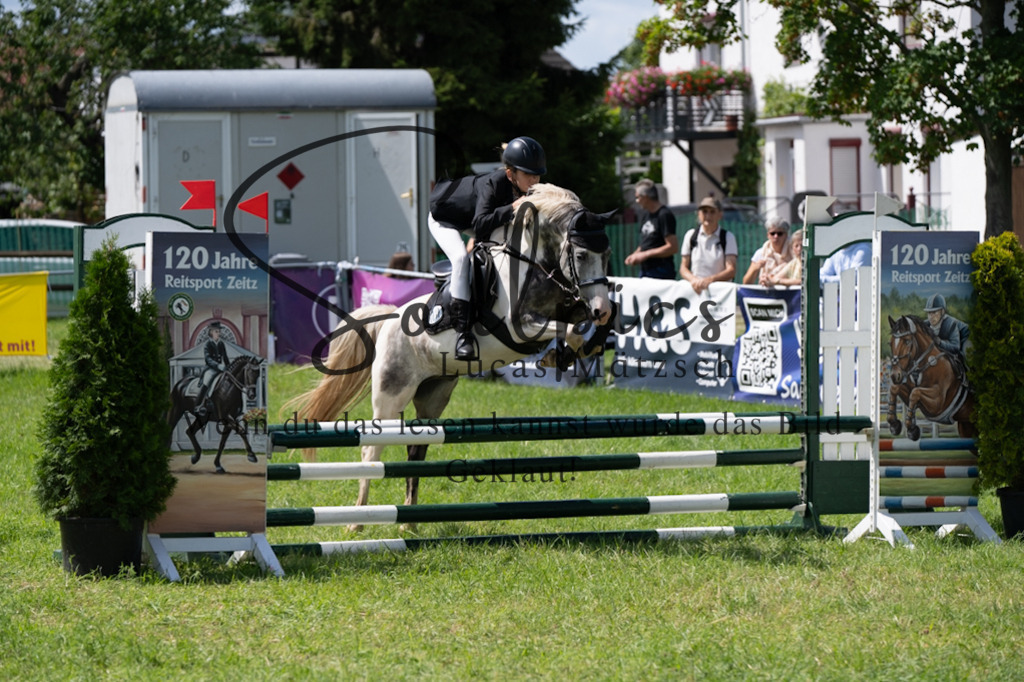 A7V04246 | Pferdefotograf