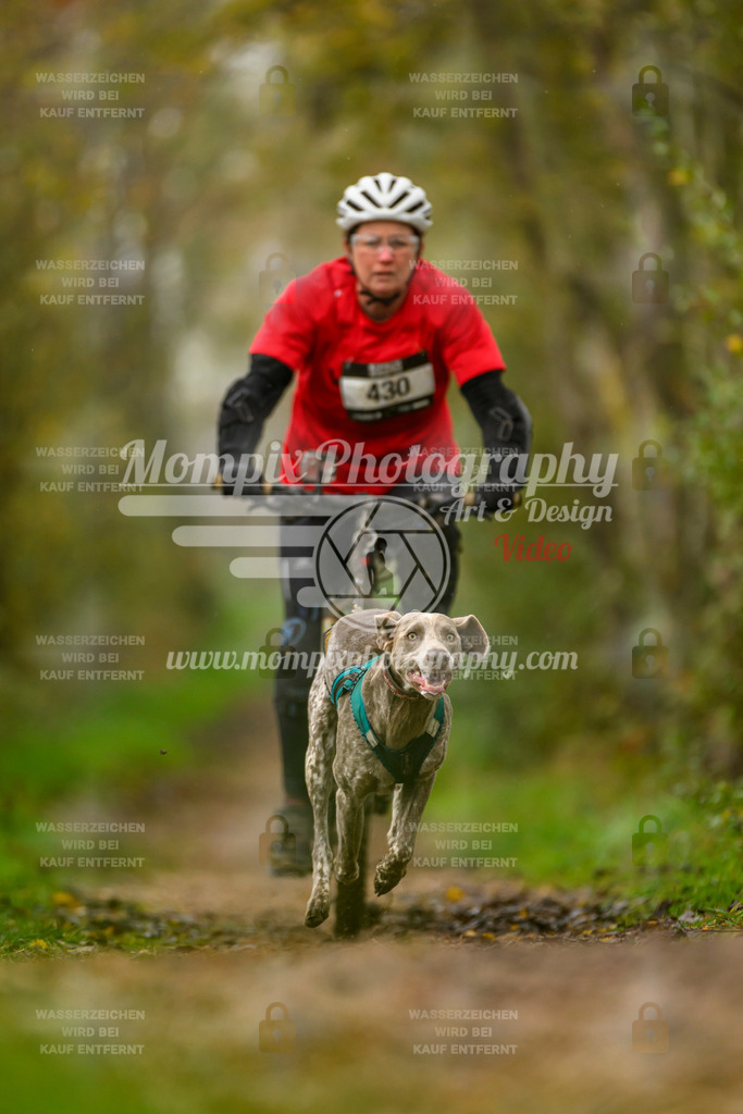 MompixPhotography_20TSB_E6_Bike-130 | PayLife