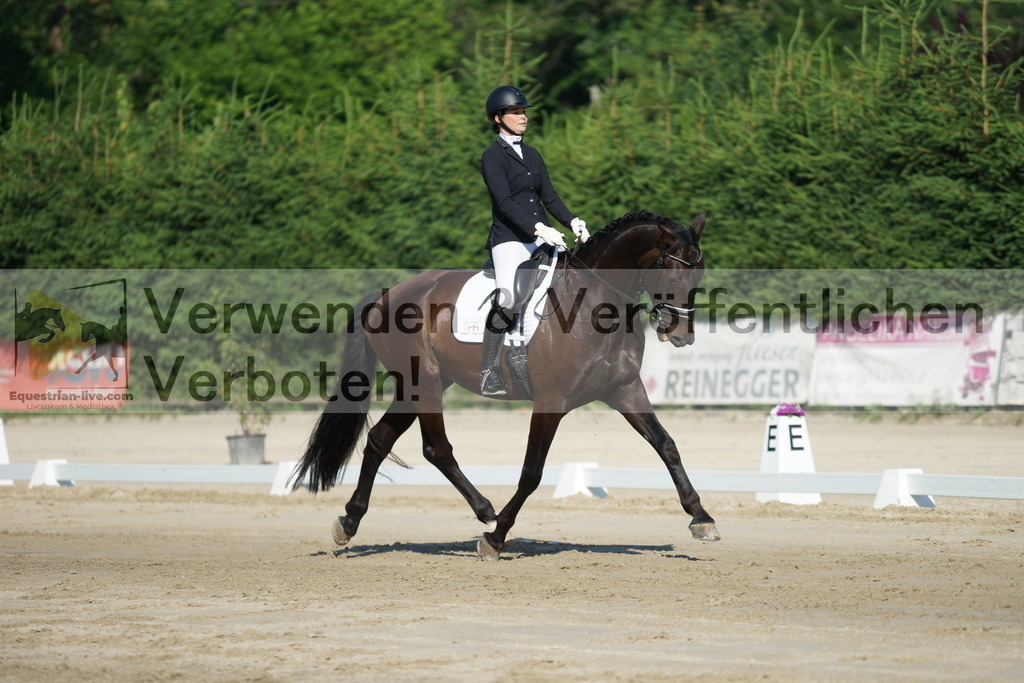 DSC02849 | equestrian-live-com