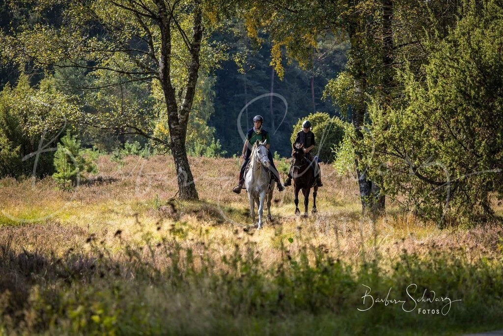 DdLH-WehlenerHeide_2025-09-20_150 | Fotografie, Veranstaltungs-Fotografie, Pferde-Fotografie, Landschafts-Fotografie, Reise-Fotografie - Realisiert mit Pictrs.com