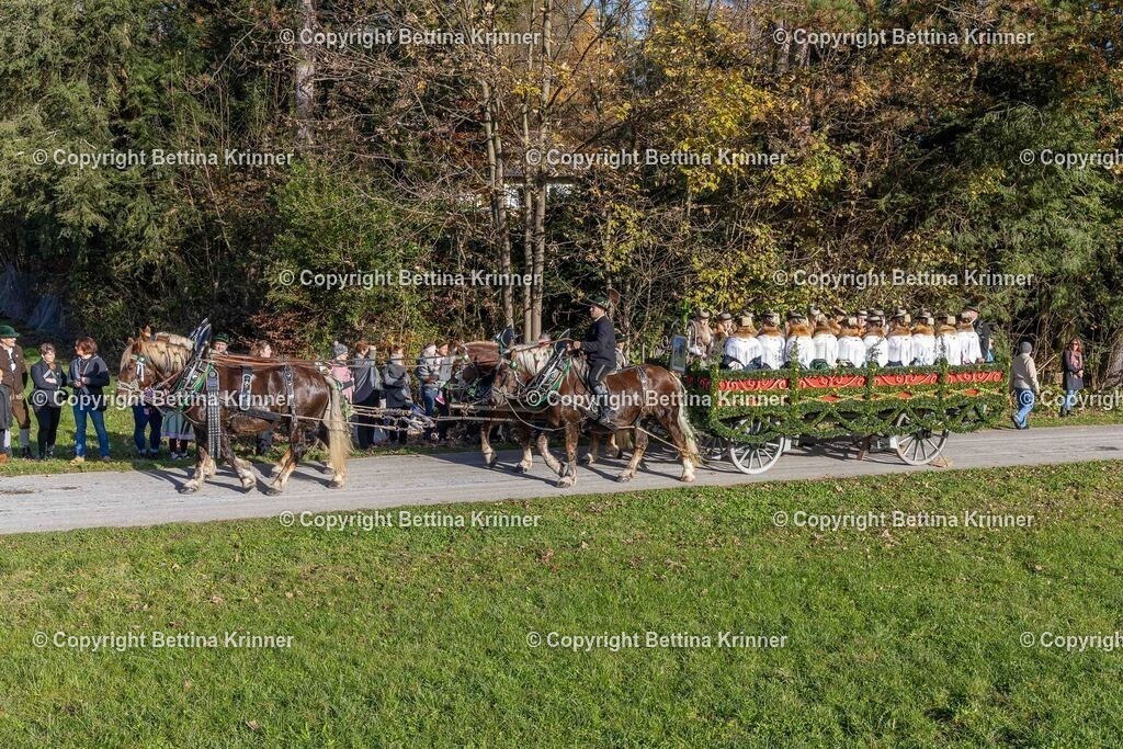 LBT24-328 | foto-bettina-krinner - Realisiert mit Pictrs.com