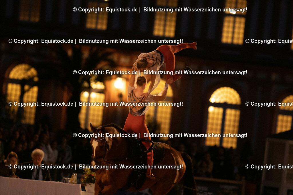 20230527_Voltigieren_NASPA_Flutlicht_0733 | equistock