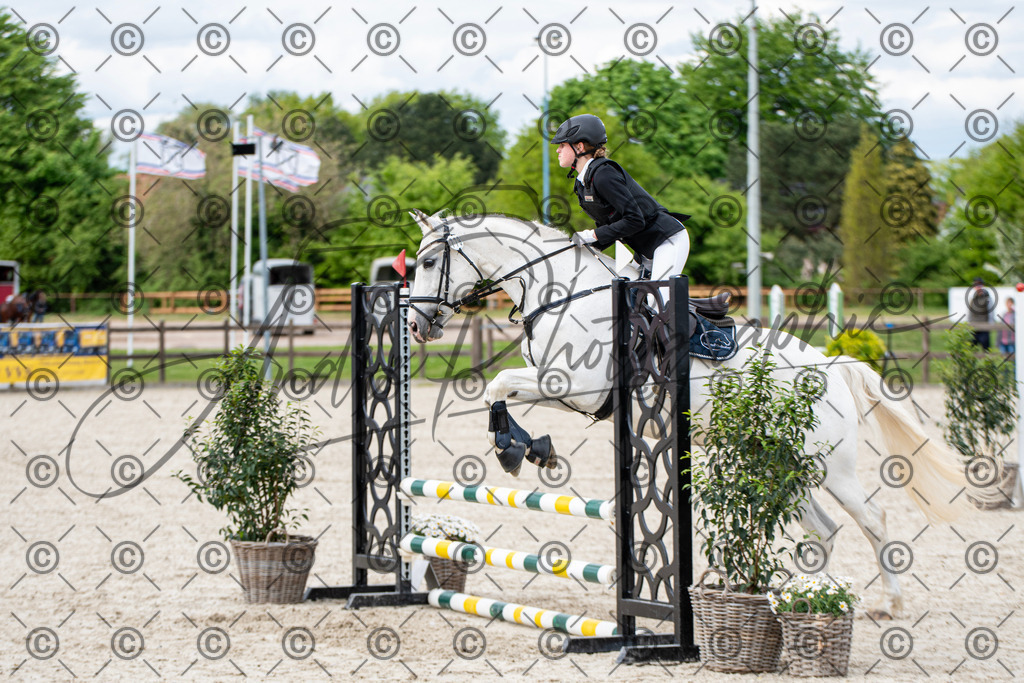 KPT_6486 | andre_photographic