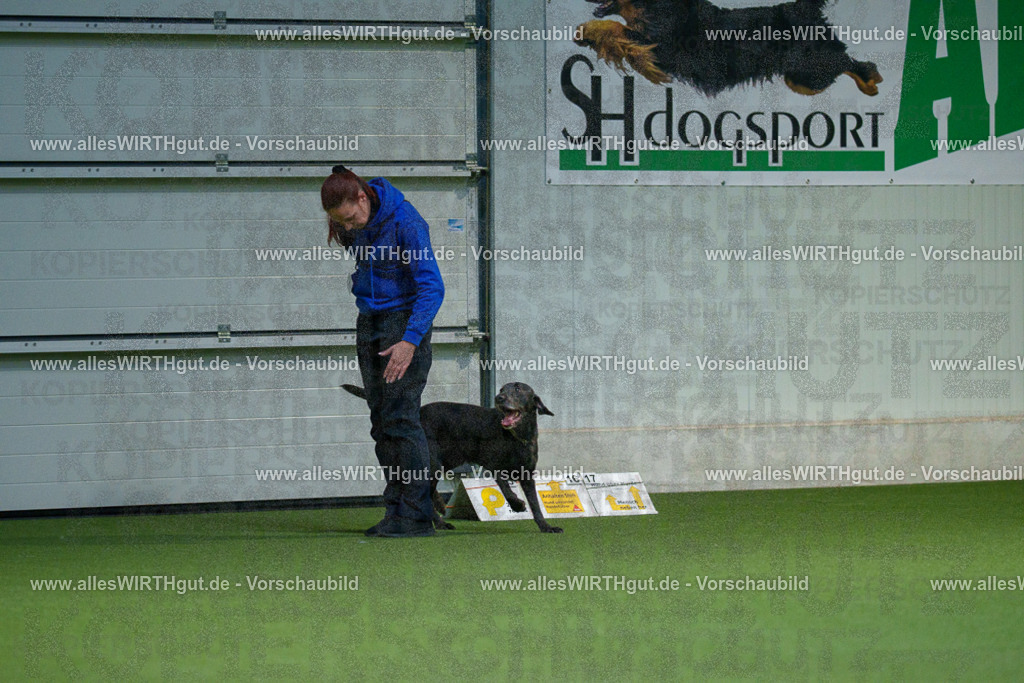 7R507026 | Professionelle Tierfotografie in Mönchengladbach von Daniel Wirth (allesWIRTHgut). Liebevolle & natürliche Bilder von Hunden & Katzen für unvergessliche Erinnerungen.