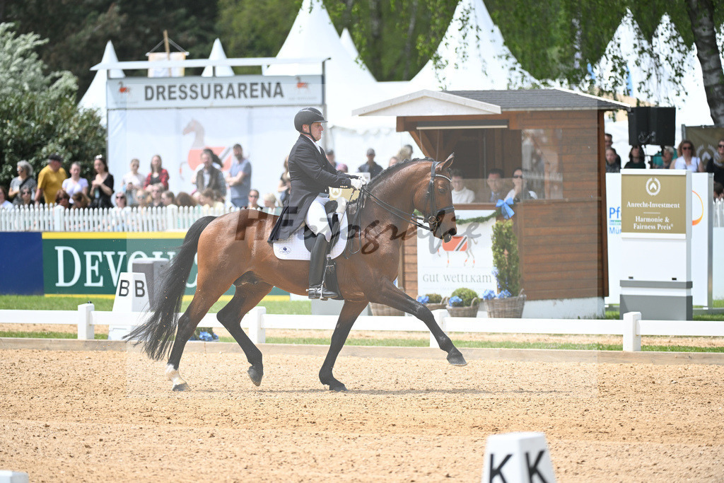 Eichhorn_Valentino_11233788 | hf-fotografie - Realisiert mit Pictrs.com