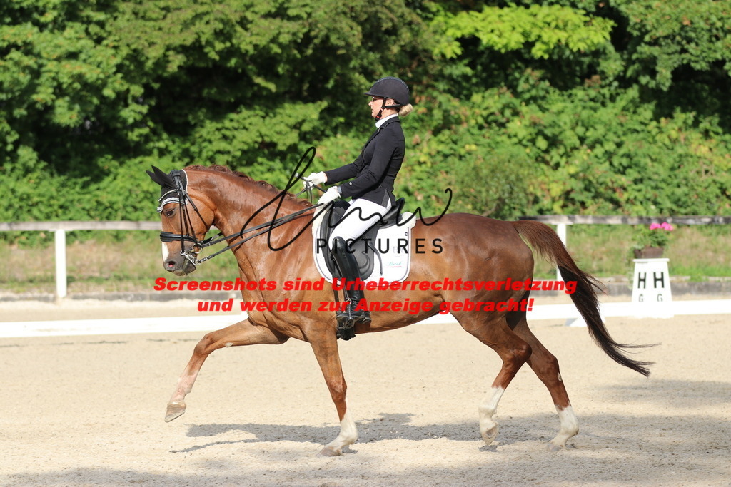 IMG_6293 | lmwpictures - Realisiert mit Pictrs.com