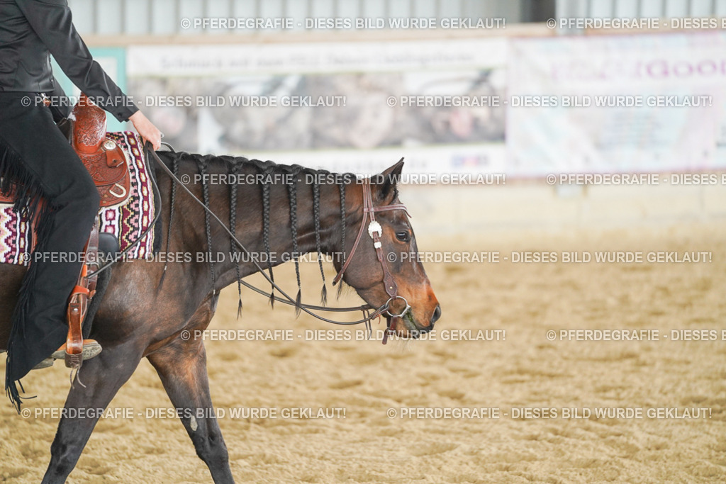 DSC04526 | Pferdegrafie