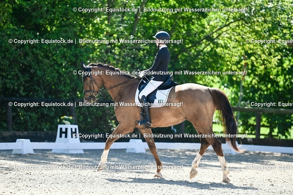 20230908_06_Dressur-L-Trense_0252 | equistock