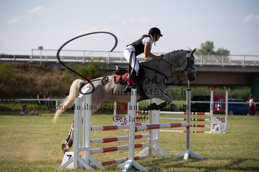 A7V00743 | Pferdefotograf