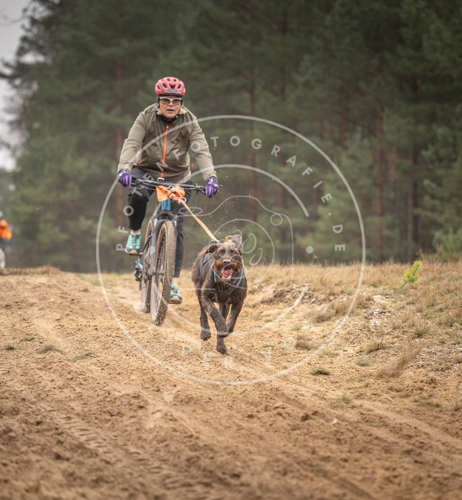 Pfotenfotografie_DV3A3610 | Hundefotografie, Tierfotograf, Pfotenfotografie, Fotoshooting Hund, Hunde Portrait, Hundesport, Hundeportraits, Heideshooting, Hunde, Sportfotograf, Hundefotograf, Turnierhundsport, THS,  - Realisiert mit Pictrs.com